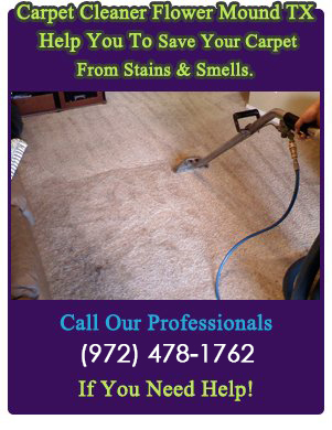 Professional Carpet Cleaners